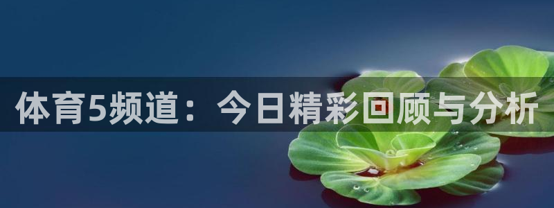 体育5频道：今日精彩回顾与分析