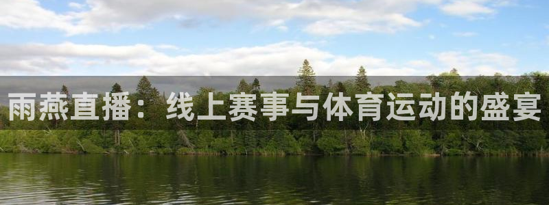 雨燕直播：线上赛事与体育运动的盛宴