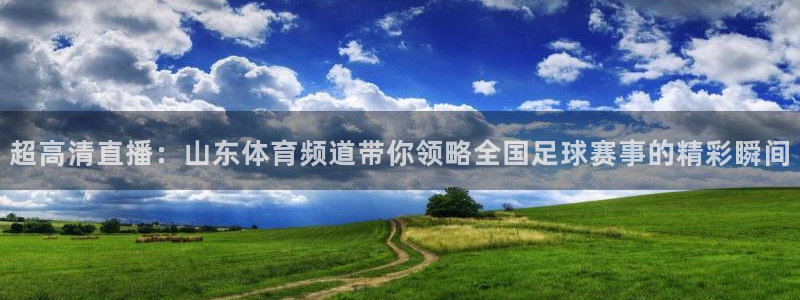 超高清直播：山东体育频道带你领略全国足球赛事的精彩瞬间