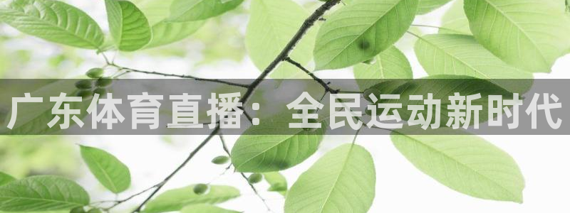 广东体育直播：全民运动新时代
