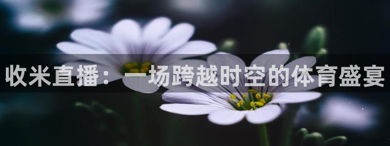 收米直播：一场跨越时空的体育盛宴