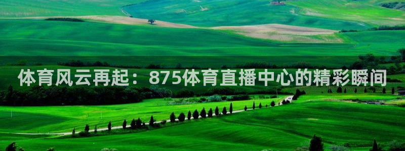 体育风云再起：875体育直播中心的精彩瞬间